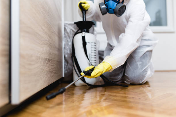 Best Pest Inspection Near Me  in Hamton, IL