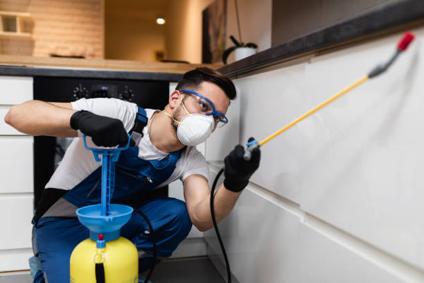 Best Affordable Pest Control Services  in Hamton, IL