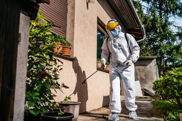 Best Pest Removal Services  in Hamton, IL