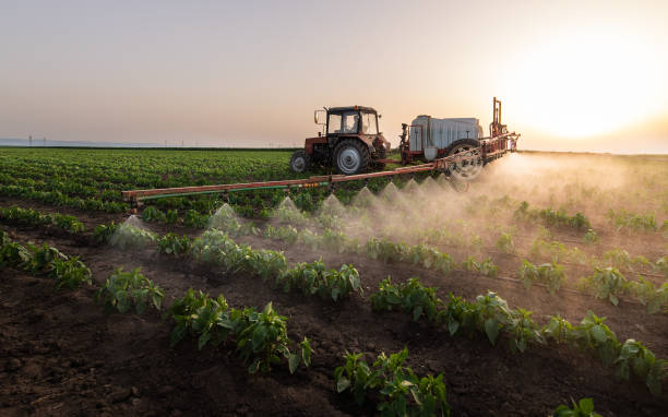 Best Wildlife Control Services  in Hamton, IL