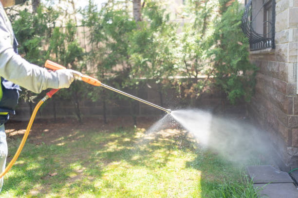 Best Exterminator Services  in Hamton, IL