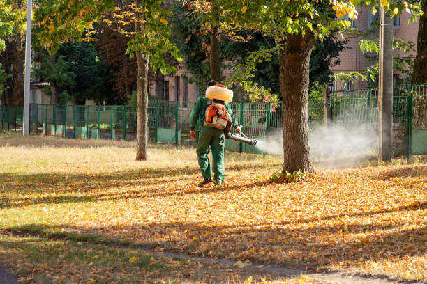 Reliable Hamilton, IL Pest Control Solutions
