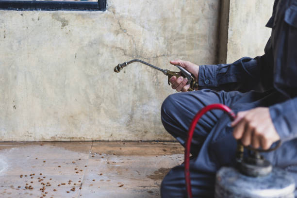 Best Best Pest Control Companies  in Hamton, IL